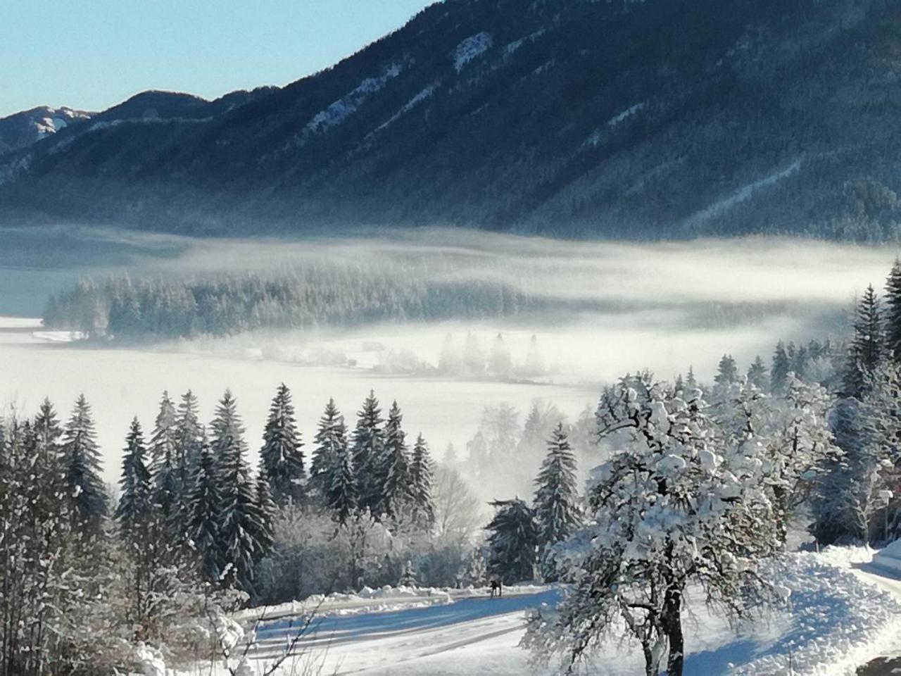 Ferienwohnungen Mitterer Weissensee Dış mekan fotoğraf